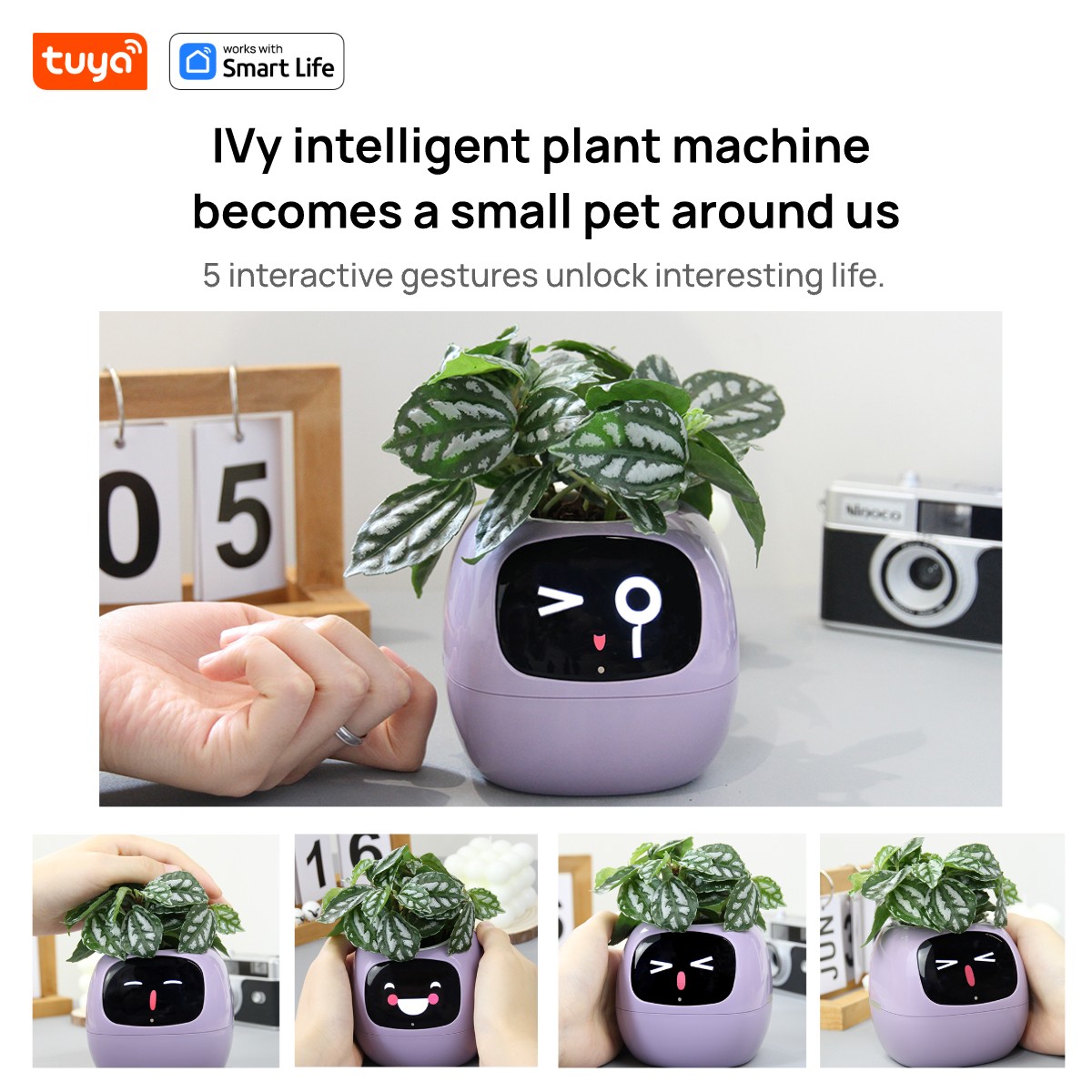 Pembe Tuya Ivy akıllı ekici, 4 - Smart Pot incelemesi ve fiyatı