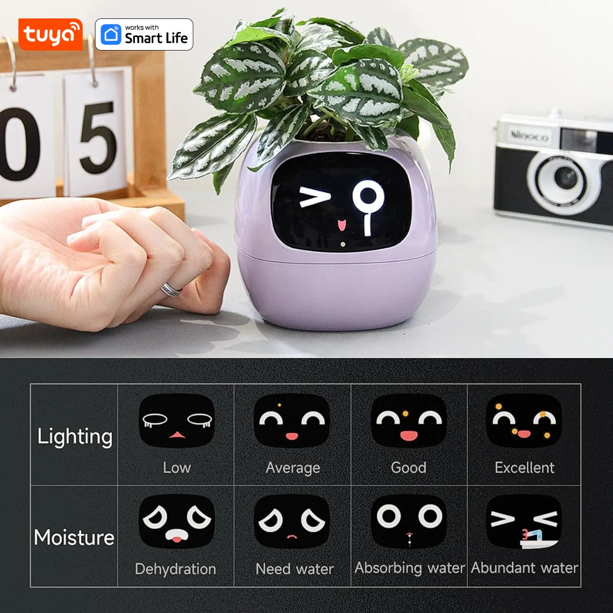Pembe Tuya Ivy akıllı ekici, 4 - Smart Pot incelemesi ve fiyatı