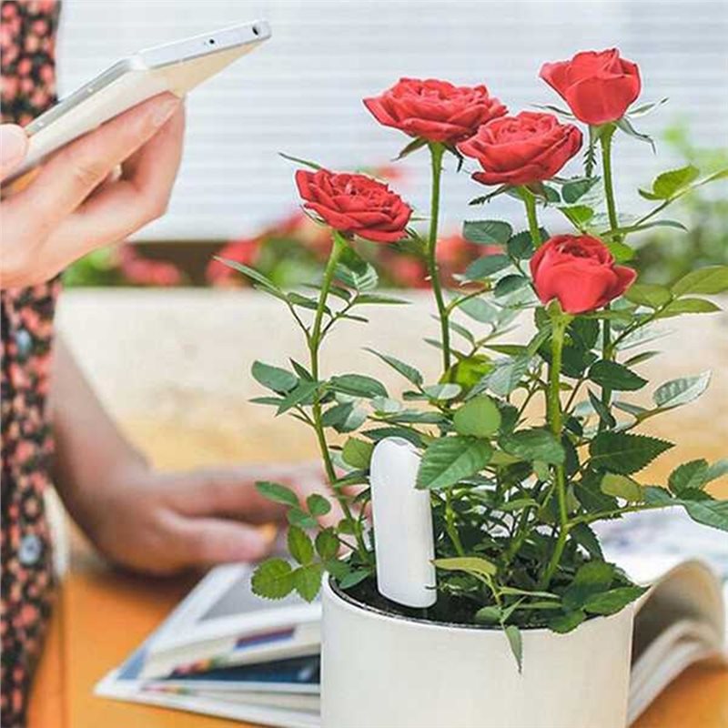ABVG-Flora Akıllı Çiçek Monitö - Plant Monitor incelemesi ve fiyatı