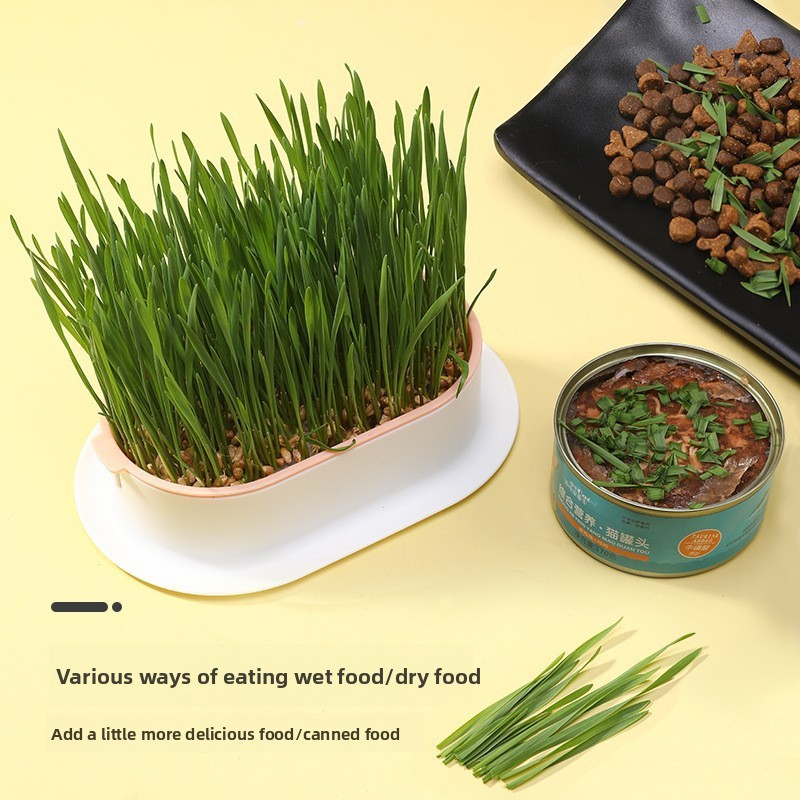 Evcil Hayvan Malzemeleri Kedi  - Hydroponic Grow Pod incelemesi ve fiyatı
