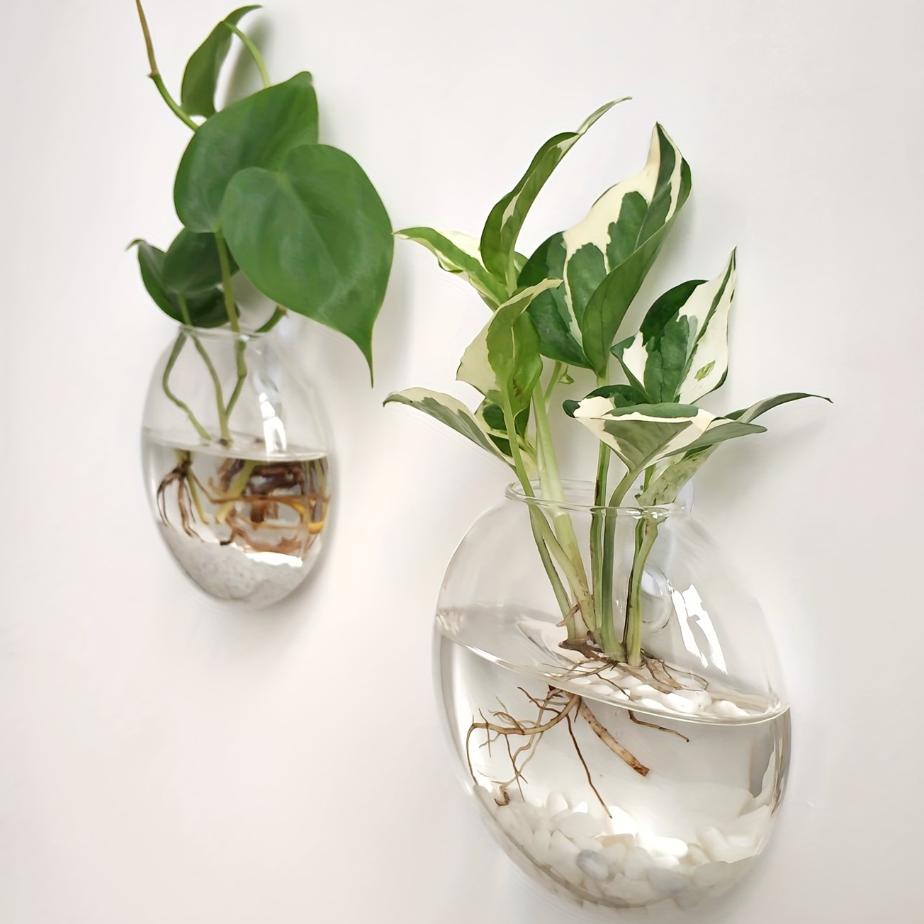 2 adet/4 adet/6 adet duvar ası - Hydroponic Grow Pod incelemesi ve fiyatı