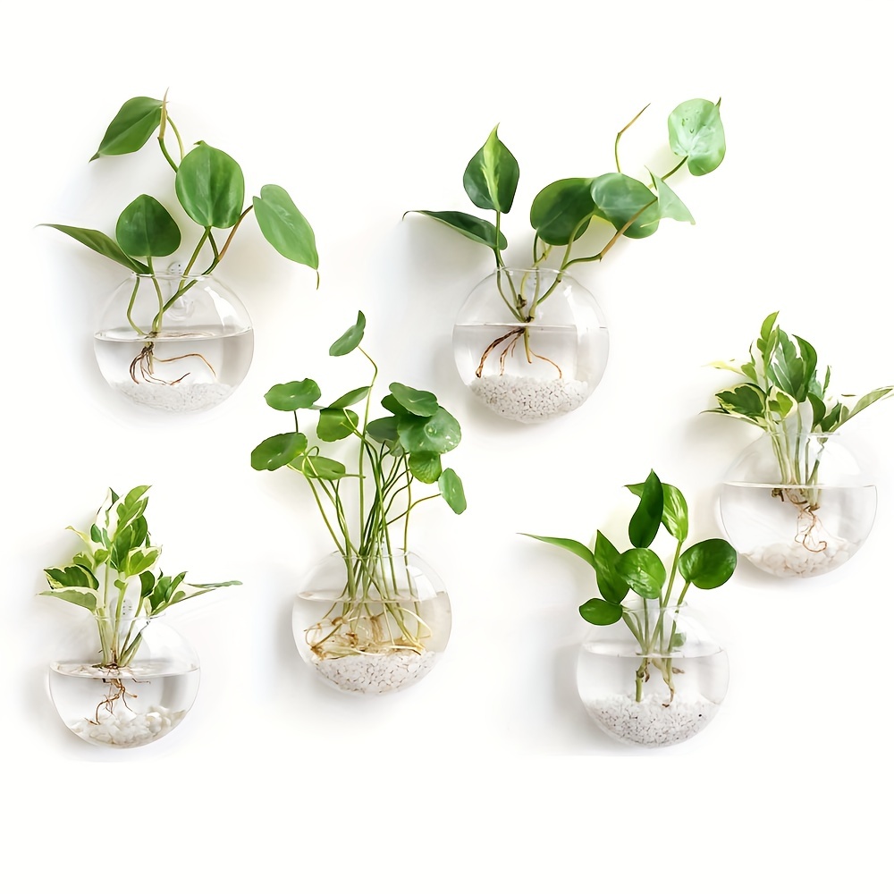 2 adet/4 adet/6 adet duvar ası - Hydroponic Grow Pod incelemesi ve fiyatı