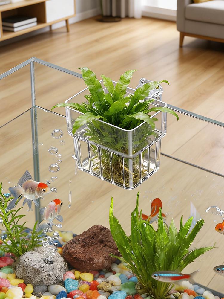Akvaryum Bitki Tutucu Şeffaf A - Hydroponic Grow Pod incelemesi ve fiyatı