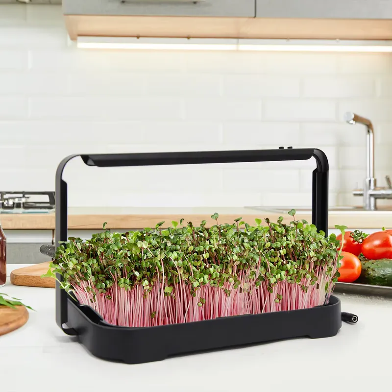 Hidroponik Tepsi İç Mekan Mikr - Indoor Garden Kit incelemesi ve fiyatı